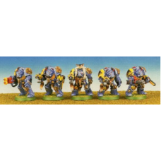Wolf Guard Terminator Squad