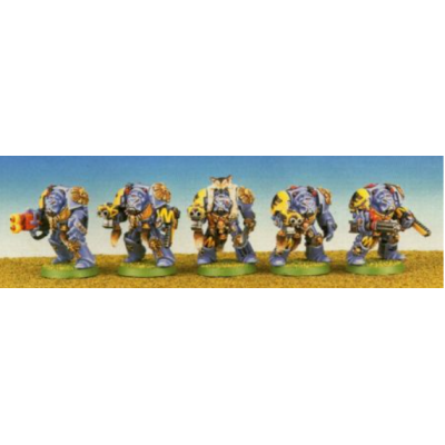 Wolf Guard Terminator Squad