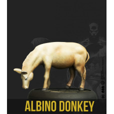 Albino Donkey
