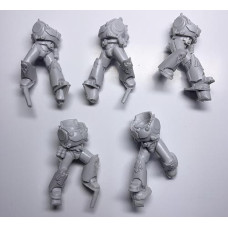 Raven Guard Dark Fury Assault Squad  - Bodies
