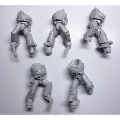 Raven Guard Dark Fury Assault Squad  - Bodies
