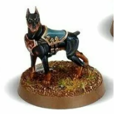 Canid