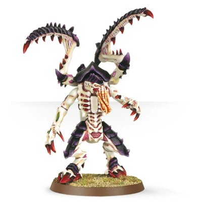Lictor