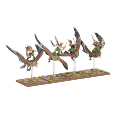 Warhawk Riders