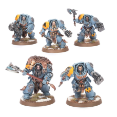 Wolf Guard Terminators