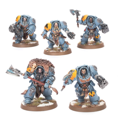 Wolf Guard Terminators